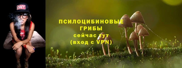 метадон Вяземский