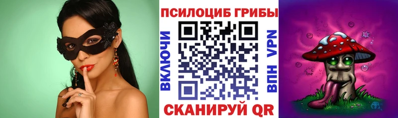 Псилоцибиновые грибы GOLDEN TEACHER  купить наркотик  hydra как войти  Закаменск 